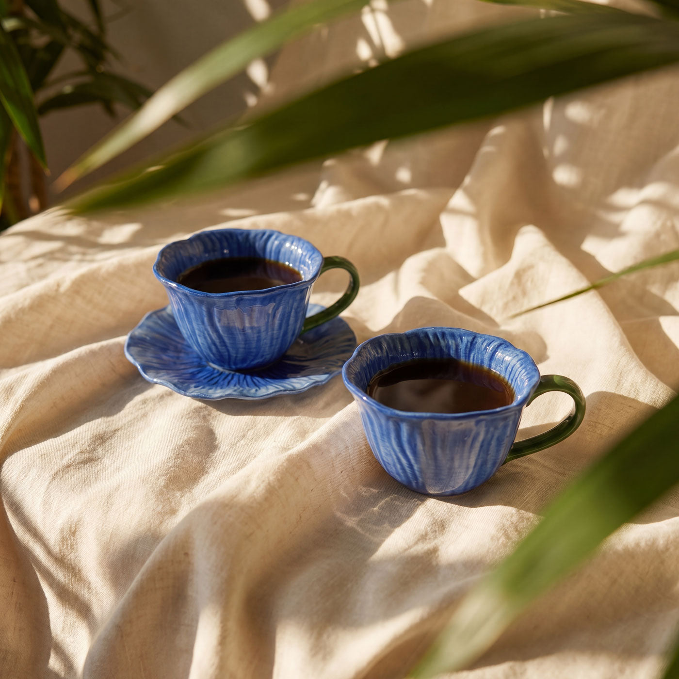Taza Arnes