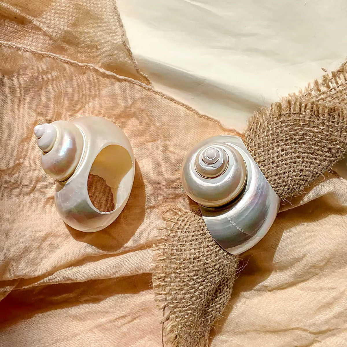 Bona Napking Rings (4 pieces set)