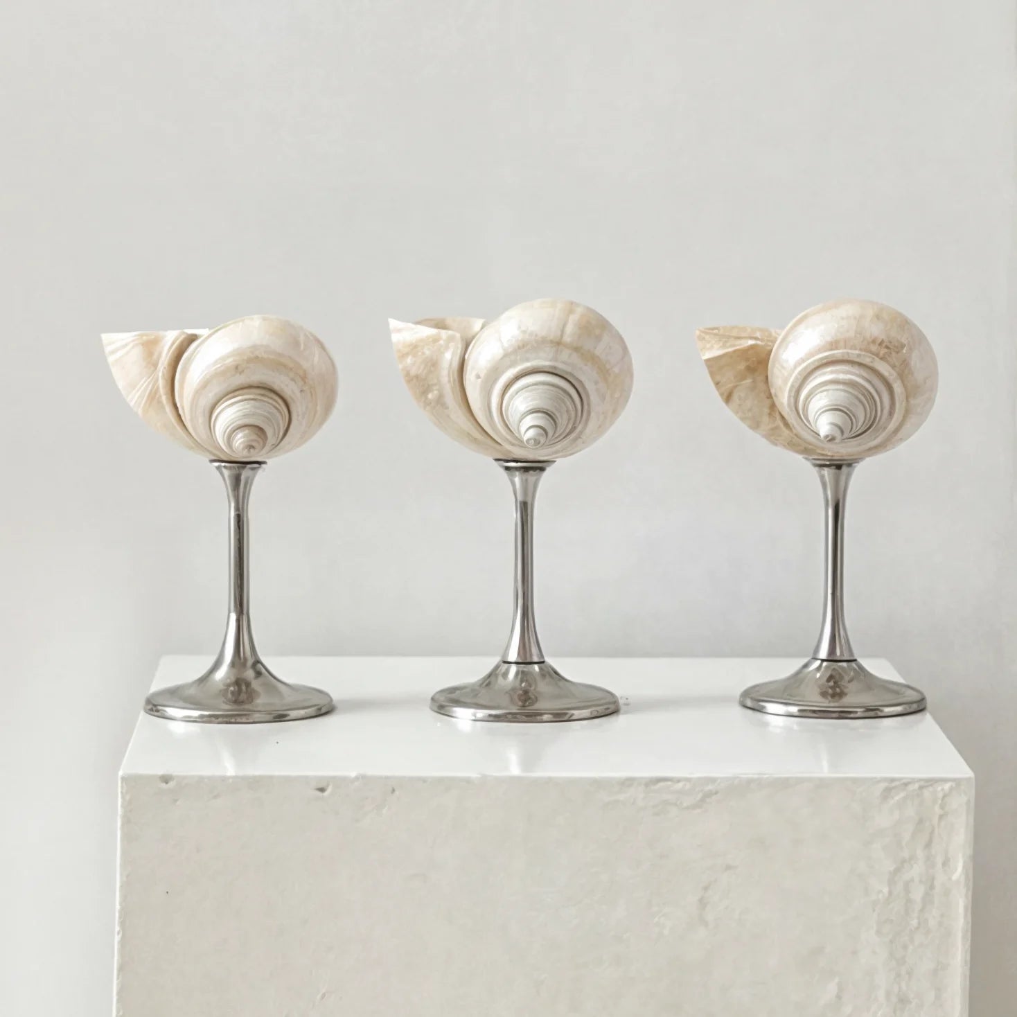 Marina Glass