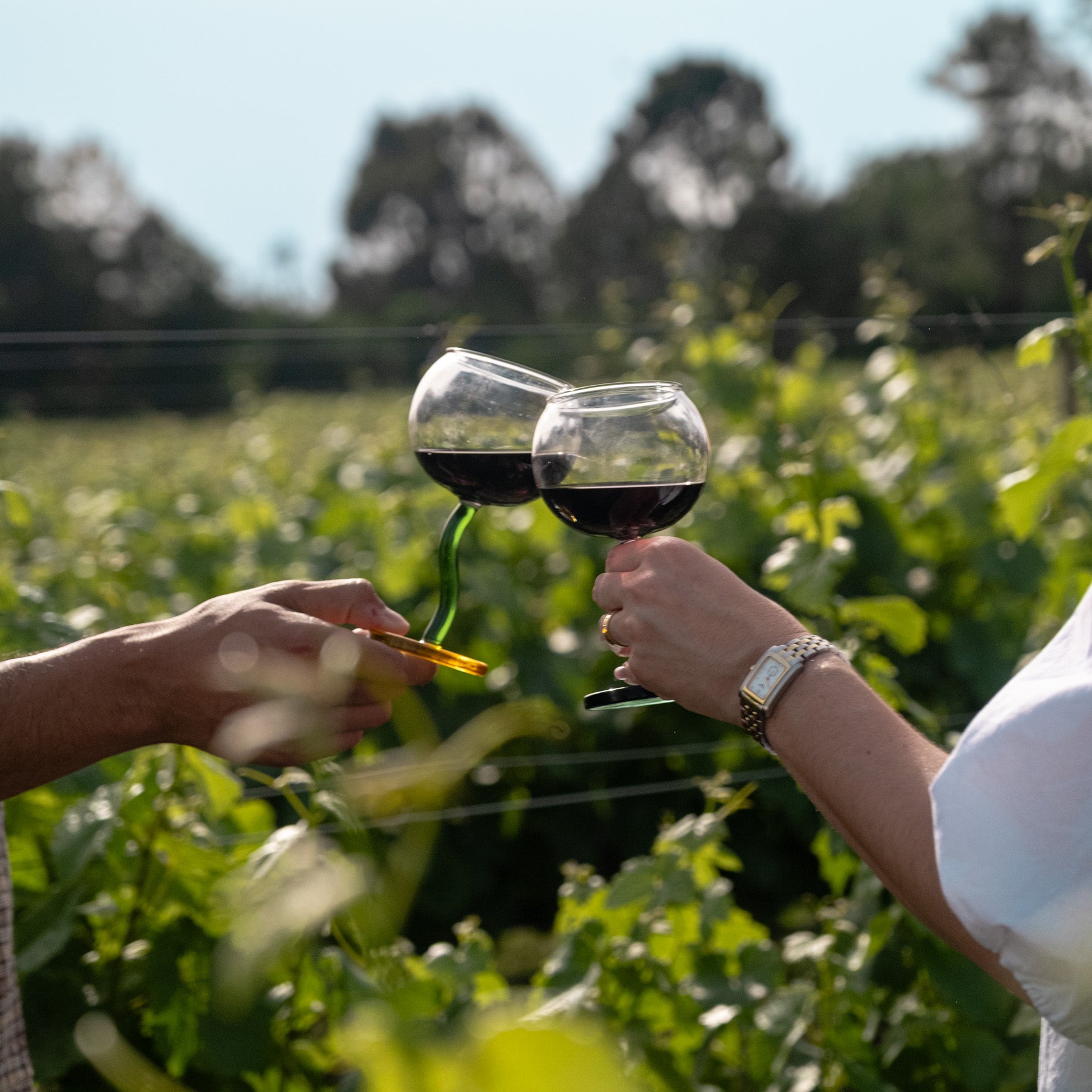 Copa Mollet